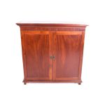 Low Closed Mahogany Cabinet (01964/02)